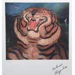 Tigru - Antonio Ligabue