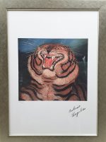 Tigru - Antonio Ligabue - imagine 2