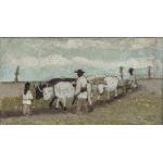 Car cu boi- Pictor neidentificat