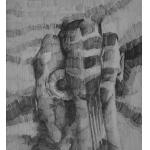 Whitness- Mihai Voinescu | Cetinode