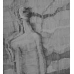 Essence Of Diformity - Mihai Voinescu | Cetinode