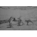 Transformation - Mihai Voinescu | Cetinode