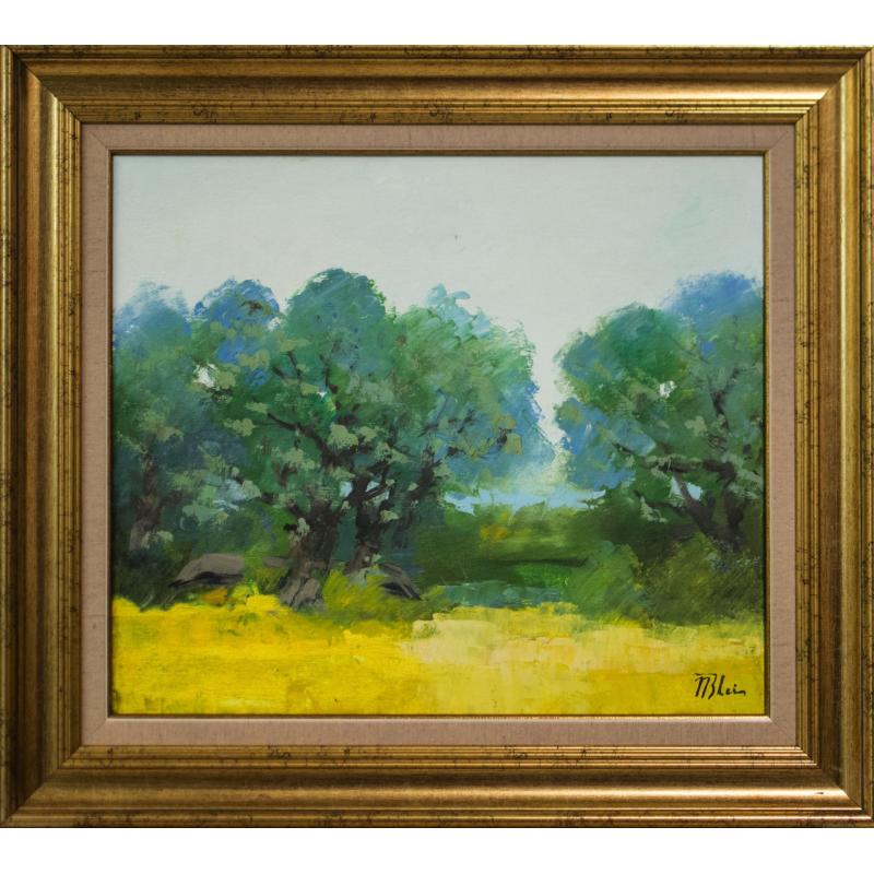 Peisaj - Nicolae Blei