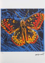 Butterfly - Andy Warhol