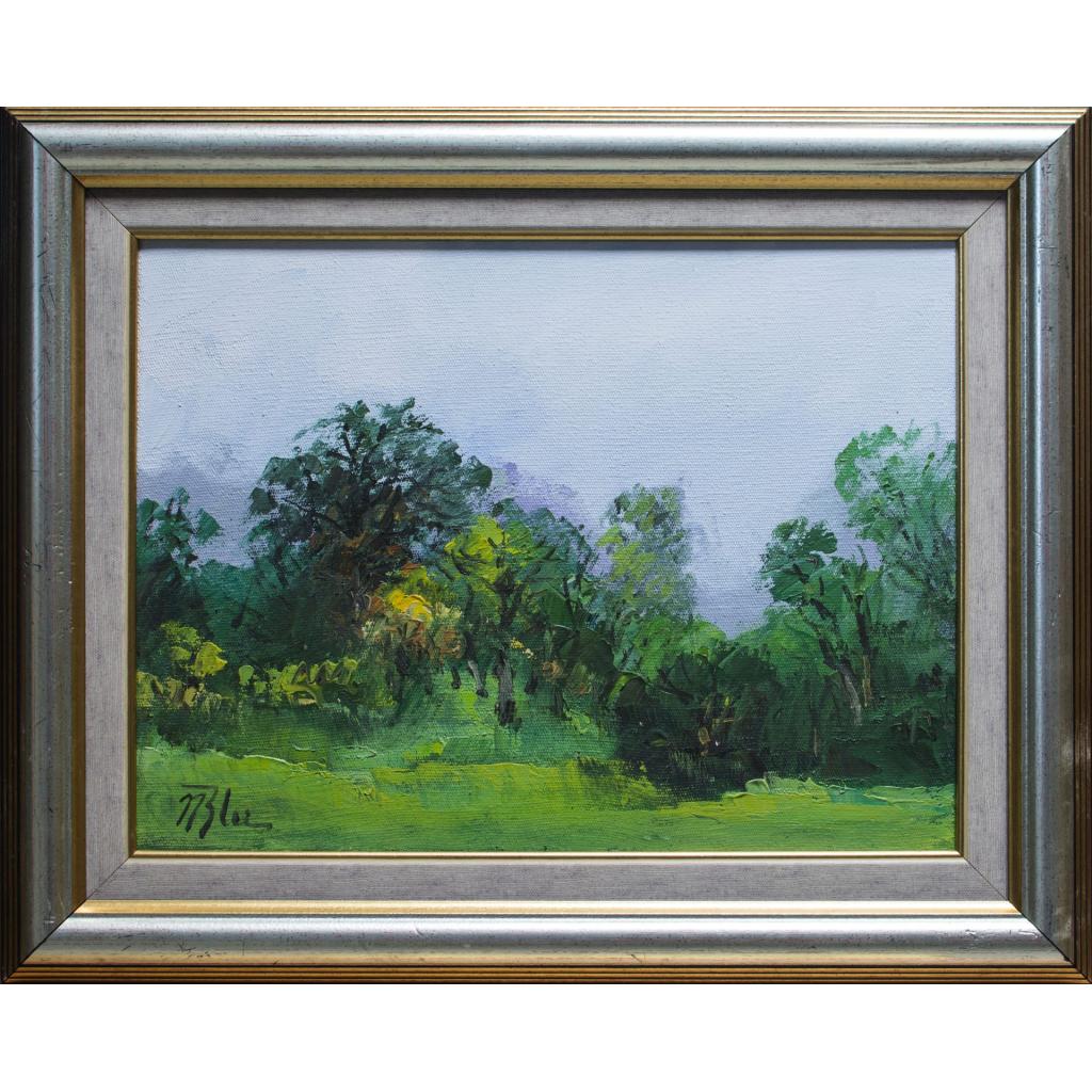 Peisaj - Nicolae Blei