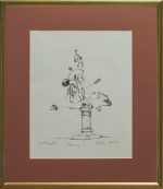 Broasca - Ștefan Câlția