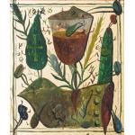 Ofranda - Ștefan Pelmuș