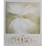 Fluturele - Vincențiu Grigorescu