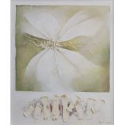 Fluturele - Vincențiu Grigorescu