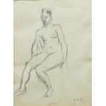 Nud studiu - Henri Catargi