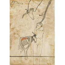 Saturnalii IV - Sorin Ilfoveanu