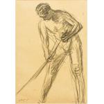 Cosaș studiu - Samuel Mutzner