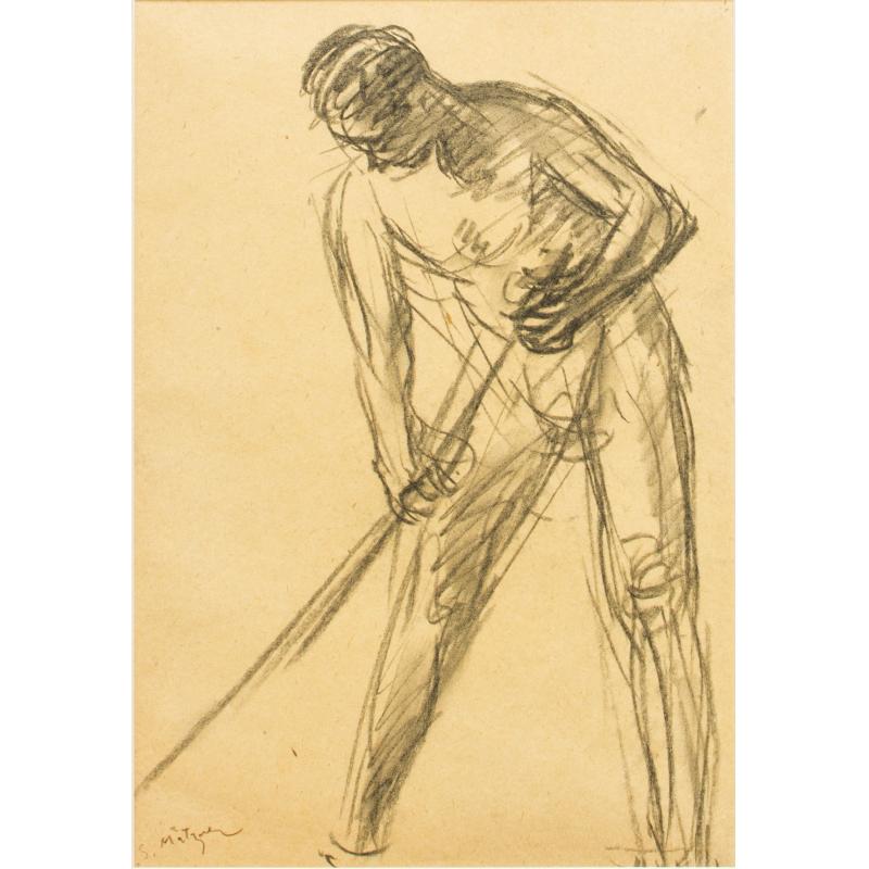 Cosaș studiu - Samuel Mutzner