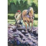 Efort împărțit - Bogdan Țigan