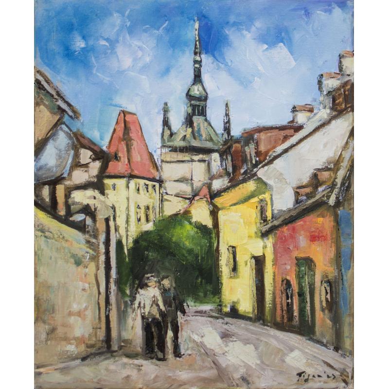 Vedere din Sighișoara - Bogdan Țigan