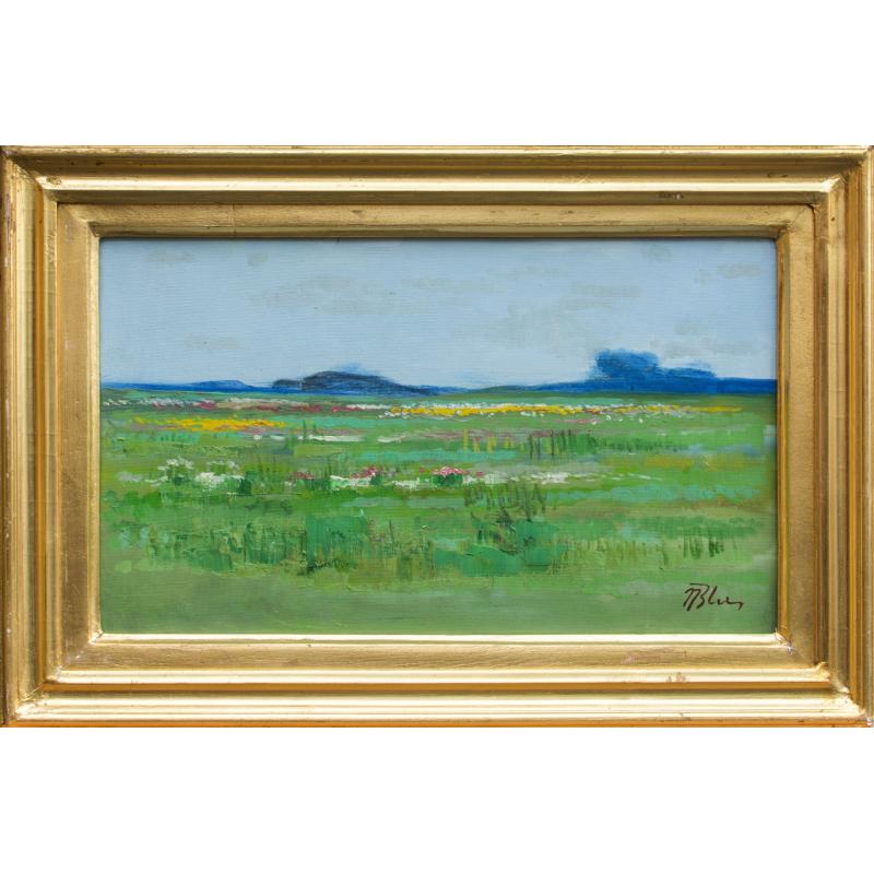 Peisaj - Nicole Blei