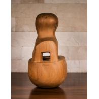 Geneză - Ion Iancuț