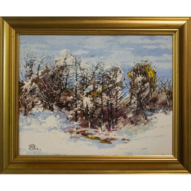 Iarnă - Nicole Blei