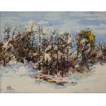 Iarnă - Nicole Blei