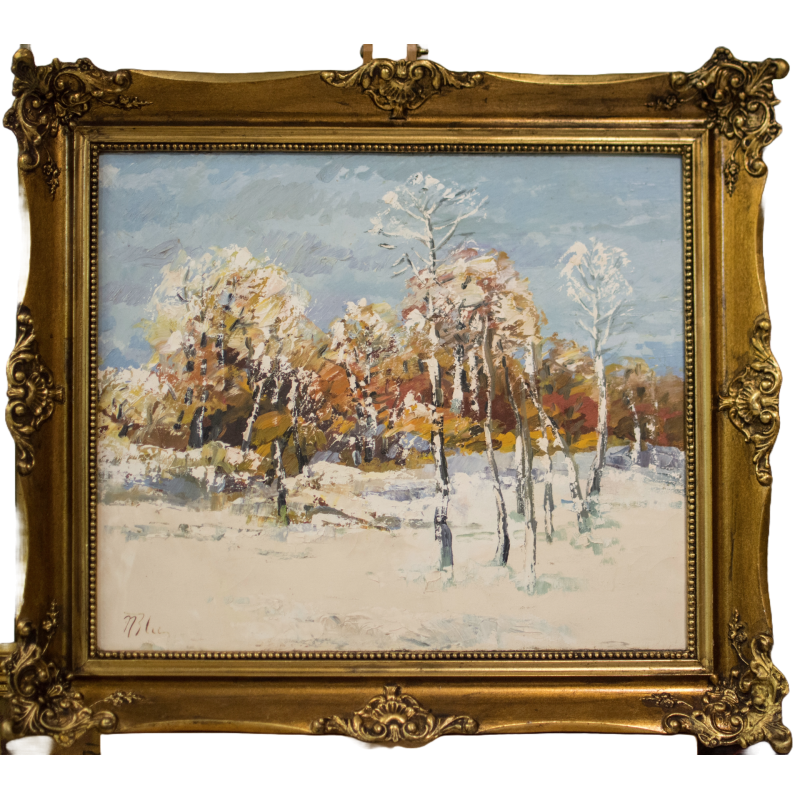 Iarnă - Nicole Blei