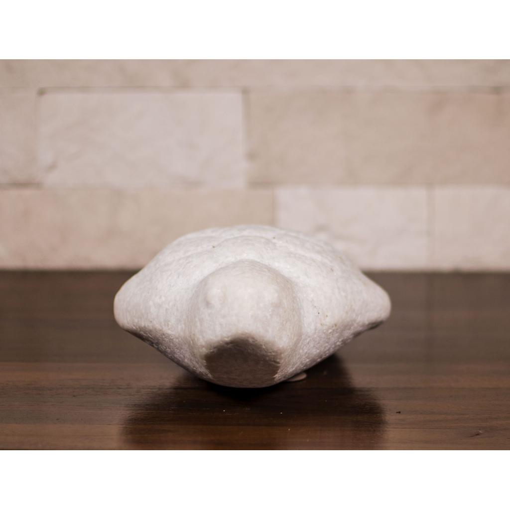 Broasca - Constantin Nicolin