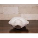 Broasca - Constantin Nicolin