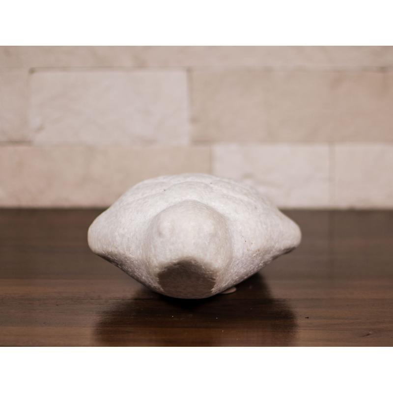 Broasca - Constantin Nicolin