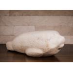 Foca - Constantin Nicolin