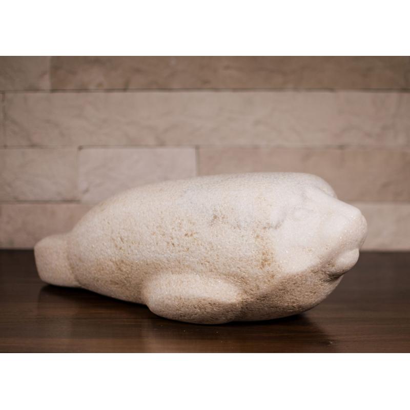 Foca - Constantin Nicolin