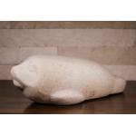 Foca - Constantin Nicolin