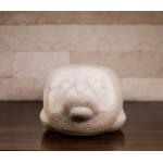 Foca - Constantin Nicolin