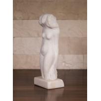 Nud - Constantin Nicolin