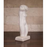 Nud - Constantin Nicolin