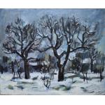 Iarnă - Marcu Constantin Nircă