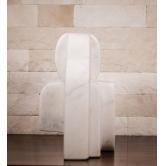 Gânditor - Constantin Platon