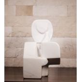 Gânditor - Constantin Platon