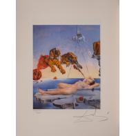 Dream Caused by the Flight of a Bee Around a Pomegranate a Second Before Awakening - Salvador Dali