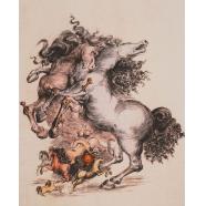 Cai suprarealiști - Salvador Dali