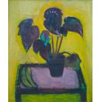 Natură moartă - Begonia - Ana Asvadurova Ciucurencu