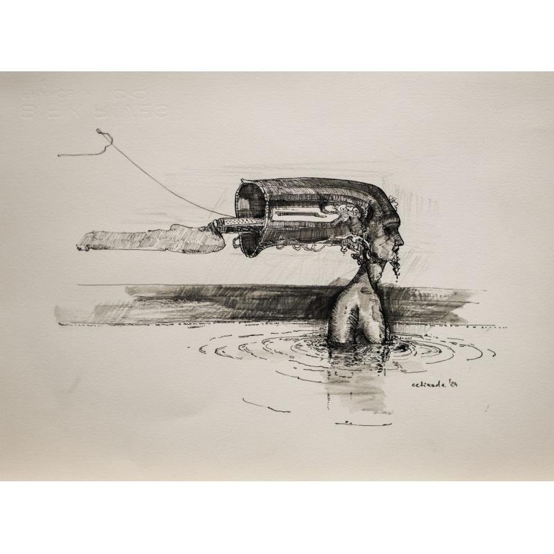 Reflexii - Mihai Voinescu