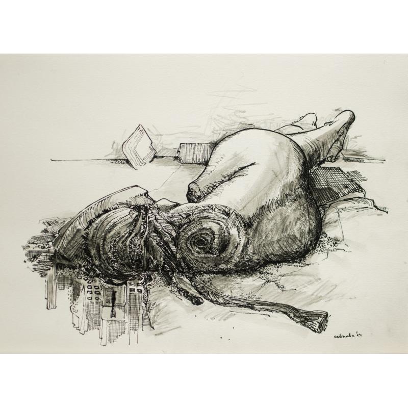 Iluzia odihnei - Mihai Voinescu