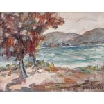 Peisaj - Dan Băjenaru