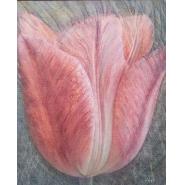 Lalea - Tatiana Mihailescu