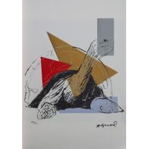 Galapagos - Andy Warhol