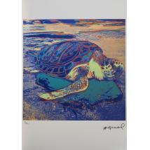 Turtle - Andy Warhol