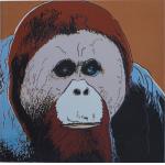 Orangutan - Andy Warhol