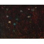 Câmp cu flori - Dragoș Constantin