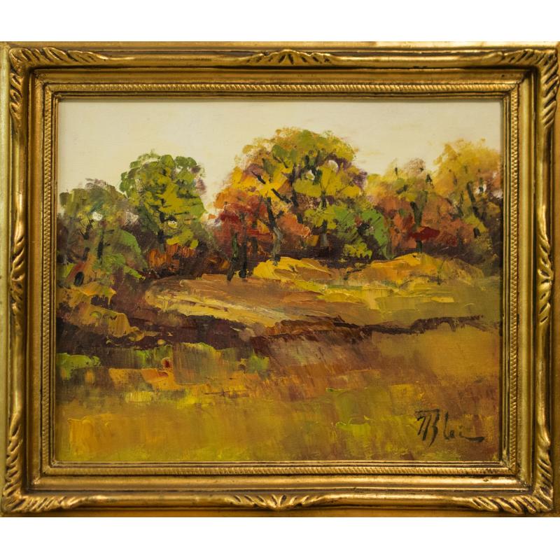 Peisaj- Nicolae Blei