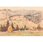 La cosit - Liviu Bordeaux