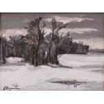 Peisaj de iarnă - Eugen Raportoru